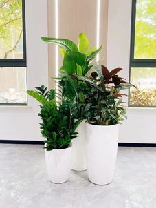 宁波奉化绿化修剪价格